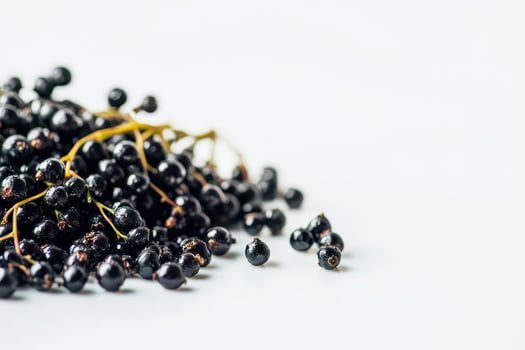 Fresh black elderberries piled on a light surface photo