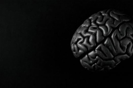 A black brain model is displayed against a dark backdrop, emphasizing intricate patterns and textures. photo