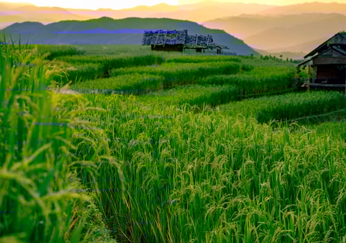 Serene rice terrace fields in Asian rural village surrounded by mountains and colorful sunset sky. Sustainable agriculture and peaceful eco living at dusk. Traditional farming. Eco conscious farming. photo