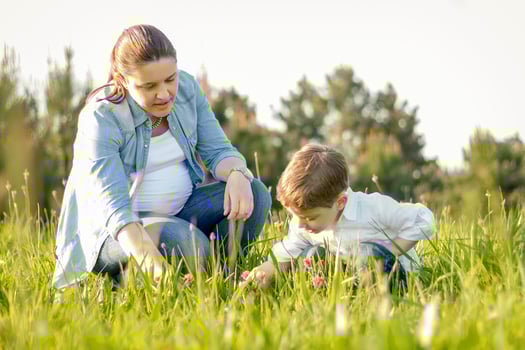 Pregnant mother and son picking flowers in field photo