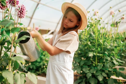 Watering ,the plants. Little girl is in the greenhouse photo