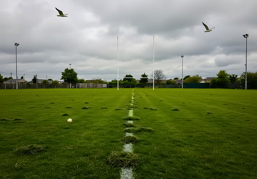 A field with grass and a few birds flying over it photo