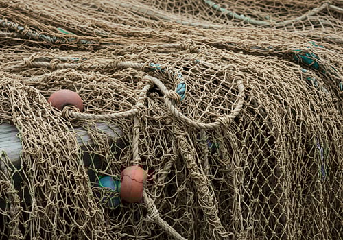 A bunch of fishing nets photo