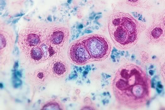 Microscopic view of detailed cell structure photo