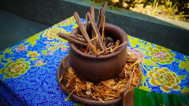 herbal ingredients served on the table photo
