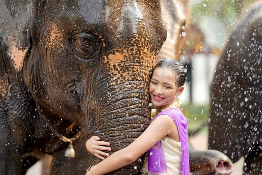 A cheerful Thai girl in the Thai traditional dress hug trunk of Asian elephant in Thailand Songkran water festival outdoors. photo