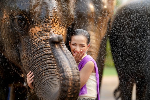 A cheerful Thai girl in the Thai traditional dress joyful with trunk of Asian elephant in Thailand Songkran water festival outdoors. photo