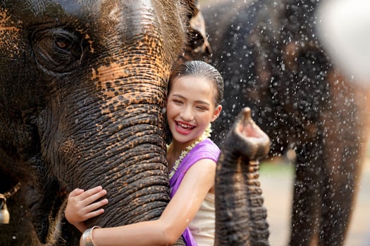 Closeup cheerful Thai girl in the Thai traditional dress hug trunk of Asian elephant in Thailand Songkran water festival outdoors. photo