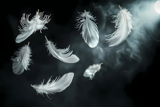 White feathers floating on dark background with smoke photo
