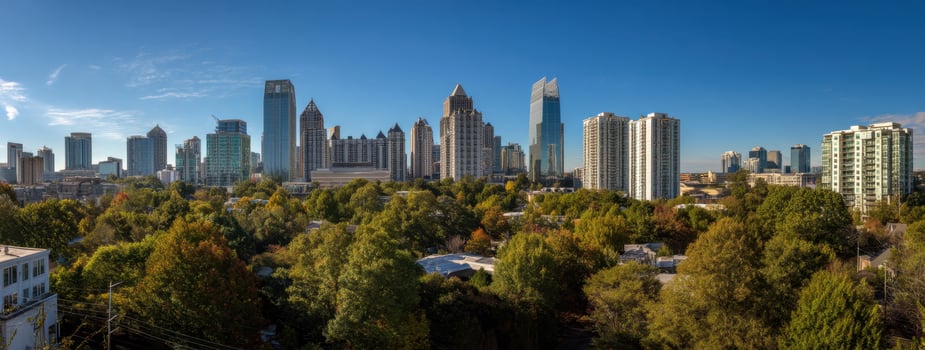 The city skyline of a large city with trees and buildings photo