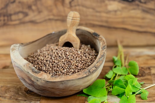 buckwheat Fagopyrum esculentum on olivewood photo