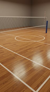 A volleyball court is shown in a room photo