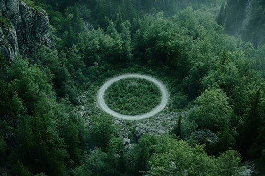 A circular ring is in the middle of a forest photo
