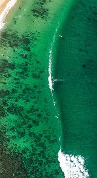 A person is riding a surfboard on the ocean photo
