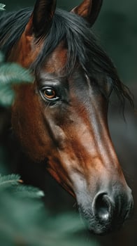 Majestic brown horse gazes through foliage in serene natural setting photo