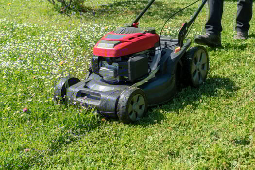 Mowing the lawn with a machine in a garden photo