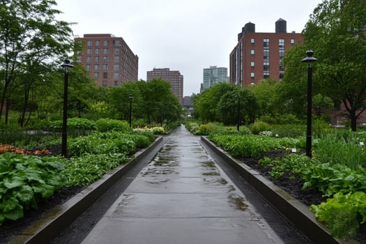 A walkway lined with plants and trees photo