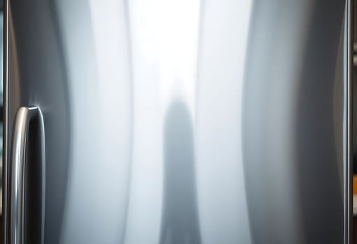 person standing in front of a stainless steel refrigerator photo