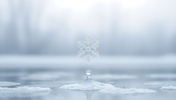 snowflake that is floating in the water photo