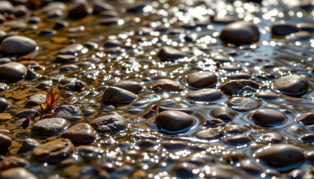 shallow water flows over smooth pebbles as sunlight dances on the streambed. photo