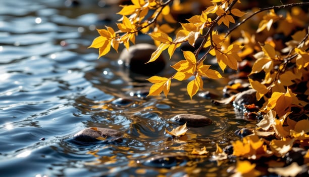 a breeze stirs golden leaves along the edge of a crystal clear stream. photo