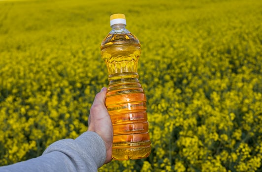 Canola oil is held up against a backdrop of bright yellow rapeseed flowers flourishing in a sunny agricultural field photo
