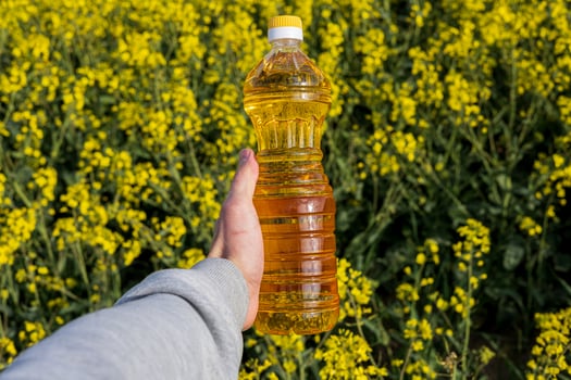 A person displays a bottle of canola oil amidst a lush field of blooming rapeseed flowers, showcasing nature's abundance and growth photo