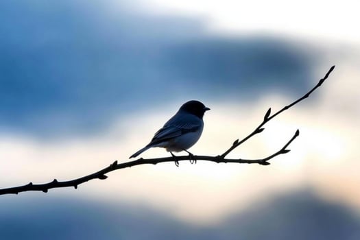 A bird sitting on a branch in front of a cloudy sky photo
