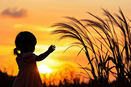 A little girl standing in front of tall grass at sunset photo