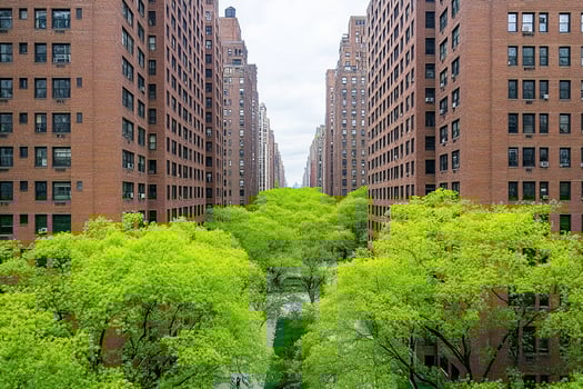 A view of a city street with tall buildings and trees photo