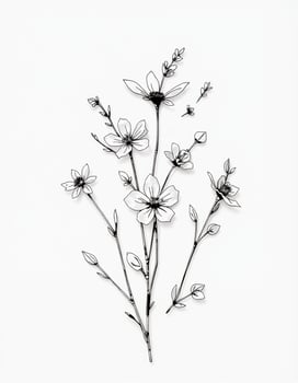 A drawing of flowers on a white background photo