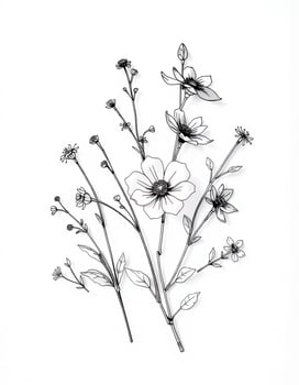 A black and white drawing of flowers photo