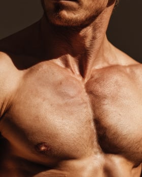 A man with no shirt on and no shirtless photo
