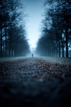 Misty pathway under trees with solitary figure at dusk photo