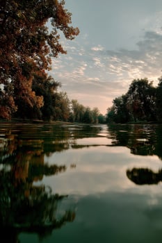 Tranquil river flowing through lush forest during golden hour photo