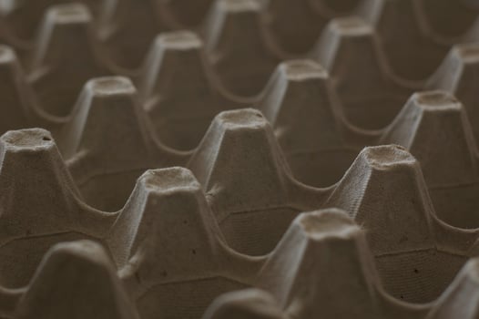 Close up empty eggs carton box photo