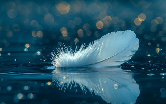 Delicate white feather floating on water. A white feather floats on calm water, reflecting soft light and sparkling droplets in a serene scene. photo