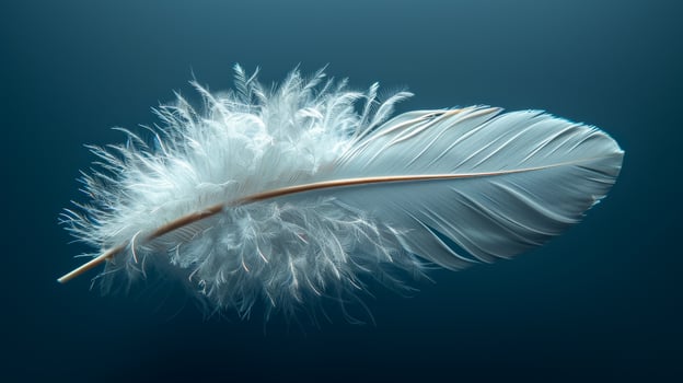 Elegant white feather floating in water. A delicate white feather with soft plumage drifts gracefully in calm water, reflecting its fine details. photo