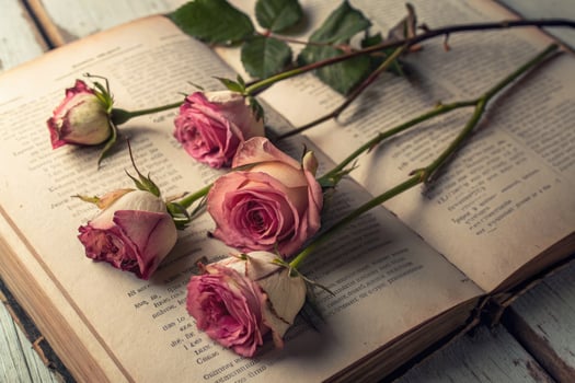 Dried pink roses gracefully lay on an open antique book, evoking a sense of vintage romance. photo