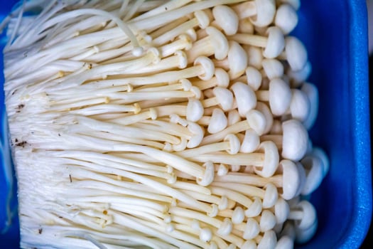known as Enokitake, the Enoki mushroom Flammulina velutipes, is a variety widely used in oriental cuisine top view photo