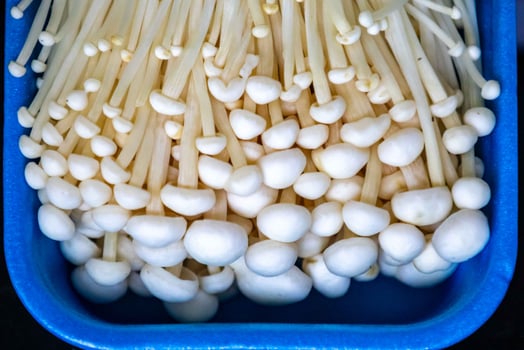 known as Enokitake, the Enoki mushroom Flammulina velutipes, is a variety widely used in oriental cuisine fine details photo
