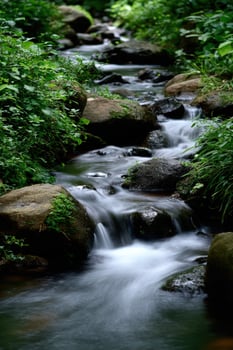 Water cascades down a rocky stream in lush green forest photo