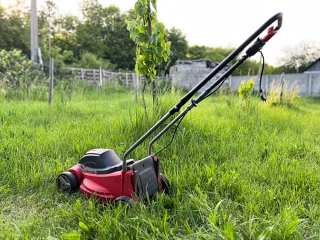 Red electric lawn mower cutting green grass in garden photo