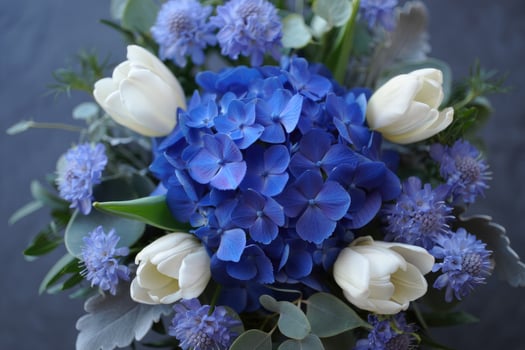 Stunning floral arrangement showcasing vibrant blue hydrangeas and elegant white tulips. photo