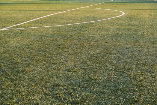 detail of green artificial turf with sunlight at sunset photo