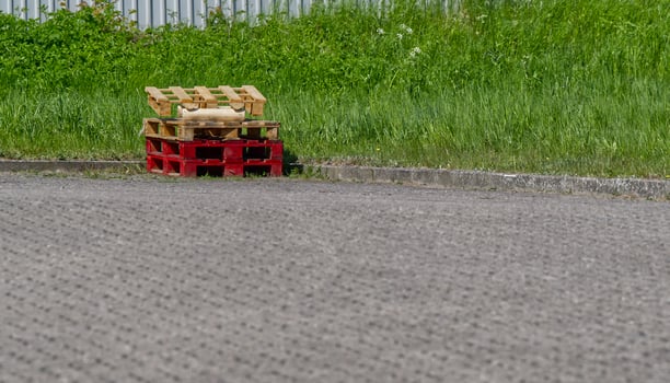 Red and pure wooden pallets are stacked on a driveway in front of a green area, the foreground and paved photo