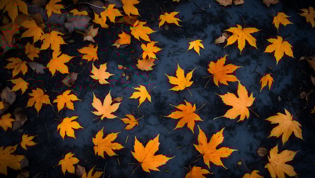 Autumn Leaves on Dark Ground photo