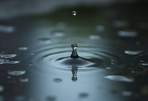 drop of water that is falling into the water photo