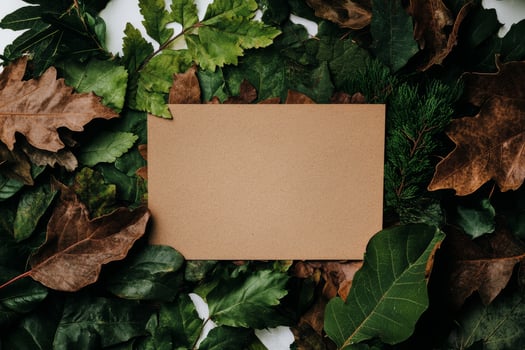 Natural Backdrop Featuring Leaves and a Blank Card for Creative Presentation Ideas photo