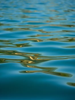 Nature Background Abstract Water Texture Teal and Gold Ripples on Calm Lake Surface photo